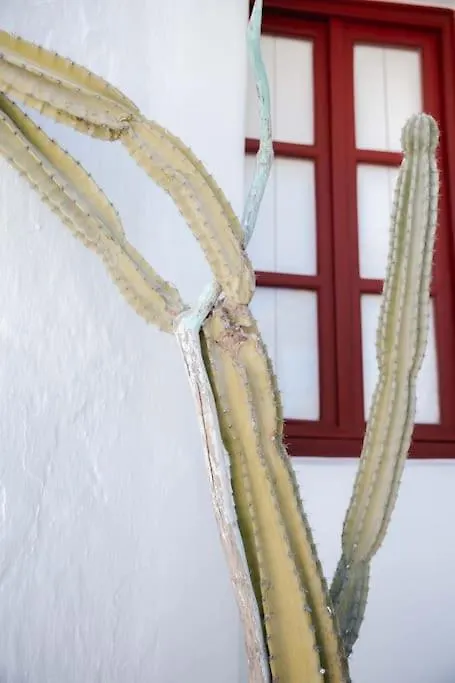 Mooi Boni'S Apartment Mykonos Town Greece